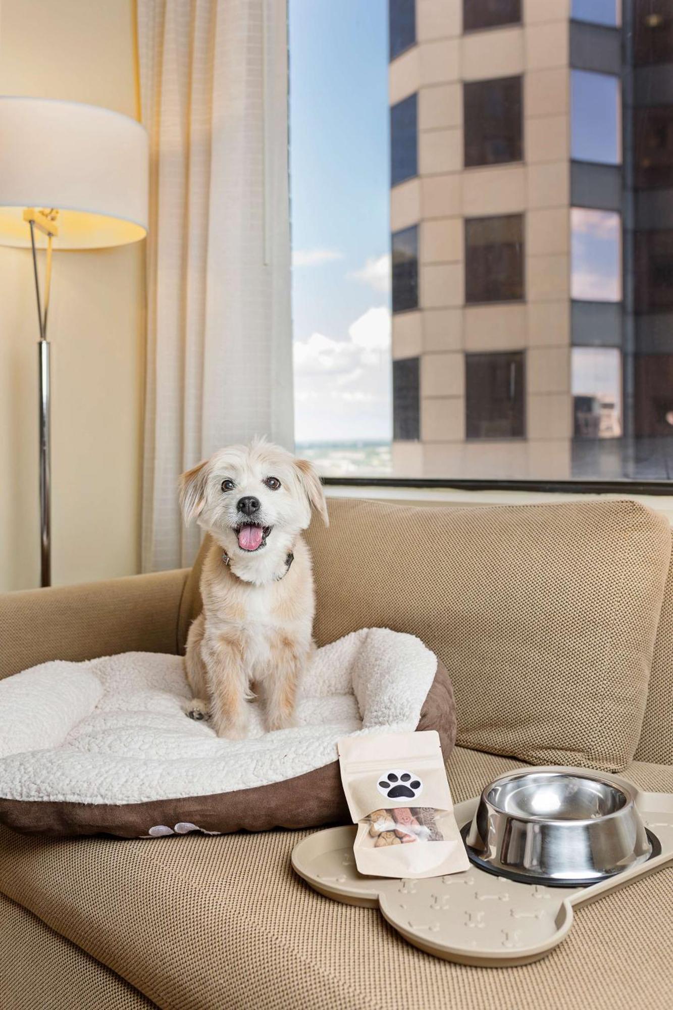 Hyatt Regency Houston Downtown Hotel Ngoại thất bức ảnh